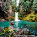 Exploring the Natural Beauty of Western Oregon: A Must-Visit Destination for Nature Lovers