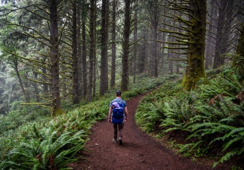 Discovering the Natural Wonders: Must-Visit Hiking Trails in Western Oregon